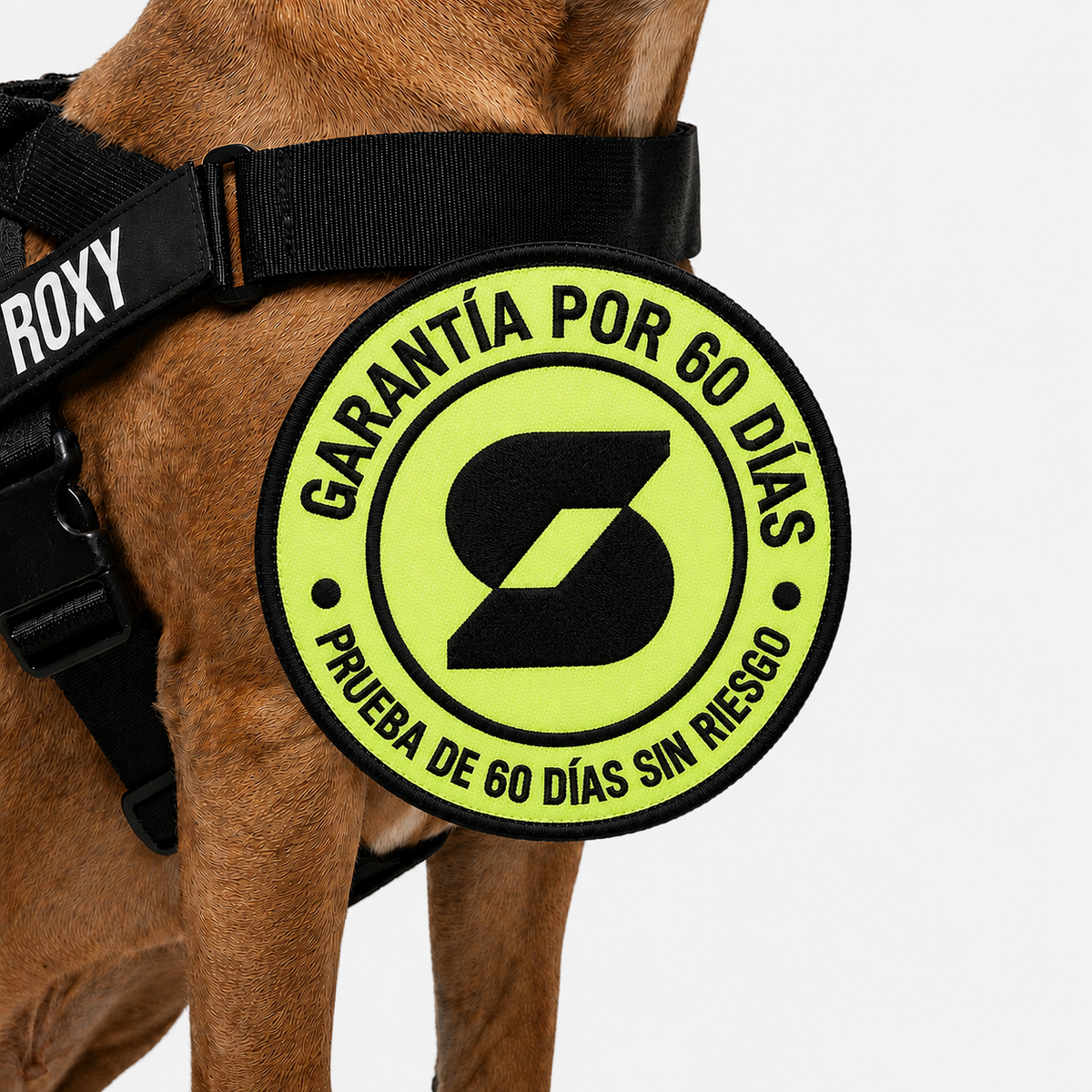 Firme.® | El arnés personalizado de un click...