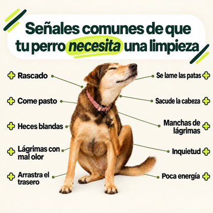 Los síntomas mejoraron en 2 semanas