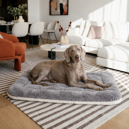 Firme Sleep® | Comodidad canina