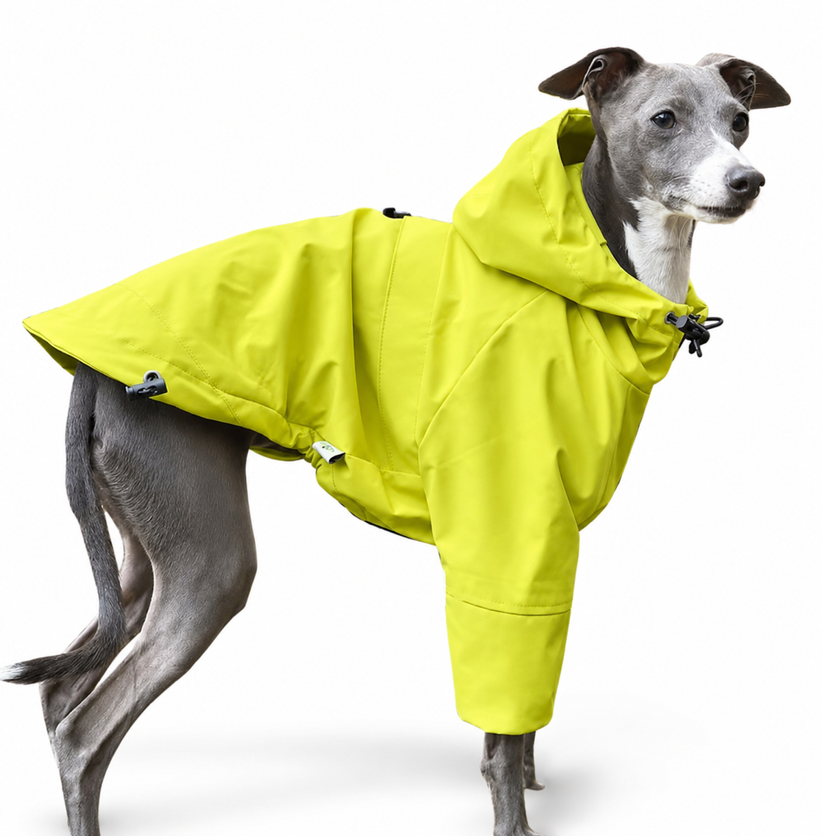 Firme Rain Coat® | Cortavientos tactico canino