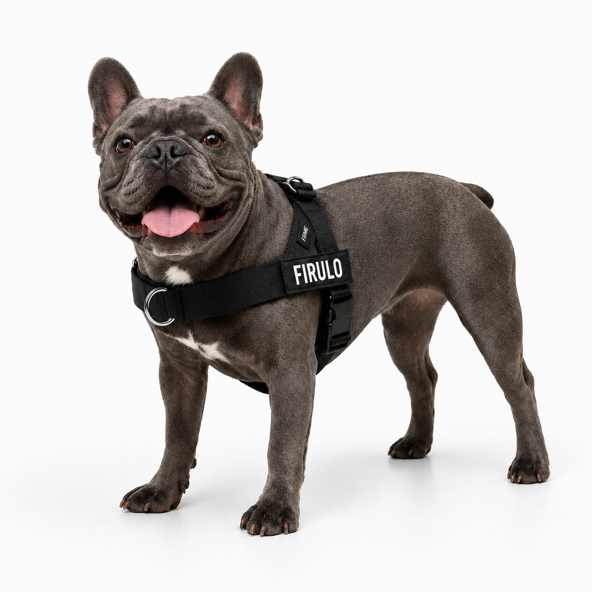 Firme® | El arnés personalizado de un click