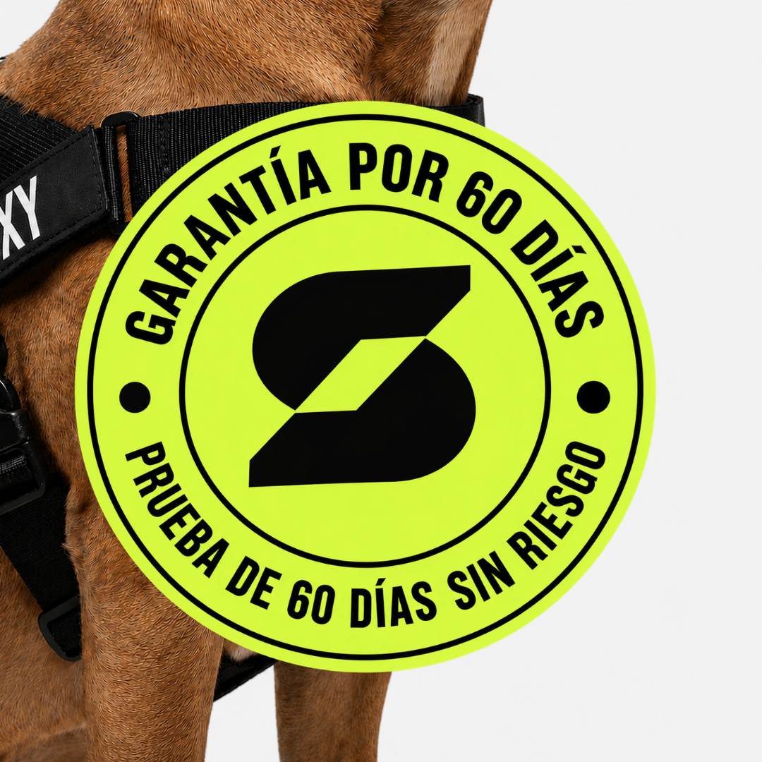Firme® | El arnés personalizado de un click