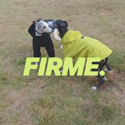 Firme Rain Coat® | Cortavientos tactico canino