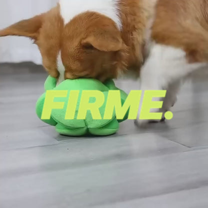 Firme Brocolí ®