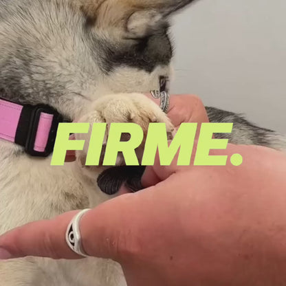 Firme Pads® | Cuidado de pies canino